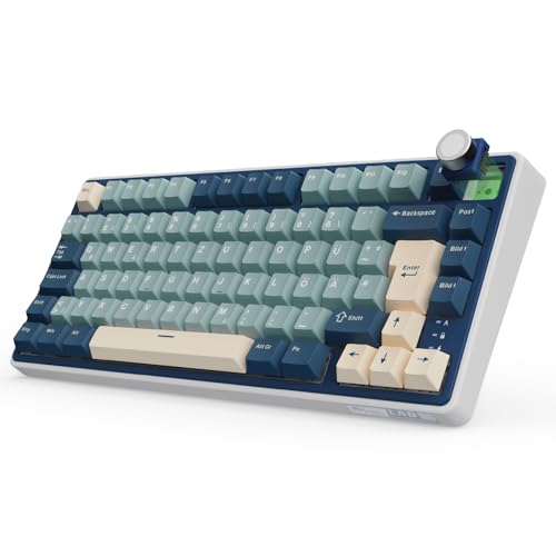 RK ROYAL KLUDGE R75 Mechanische Tastatur...