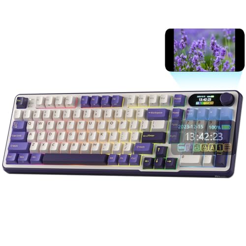 RK ROYAL KLUDGE S98 Mechanische Tastatur mit...